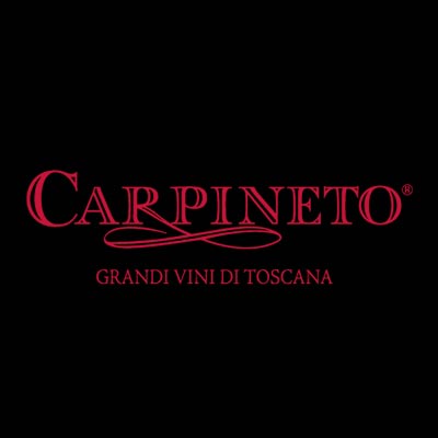 Logo Carpineto Cliente Studio Tecnico 
