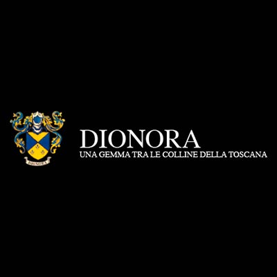 Logo Dionora Cliente Studio Tecnico 