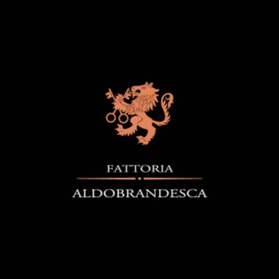Logo Aldobrandesca Cliente Studio Tecnico 